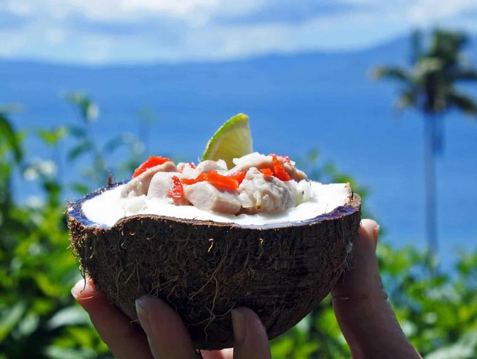 import-manufacture-and-wholesale-distribution-of-quality-food-products-in-fiji-0