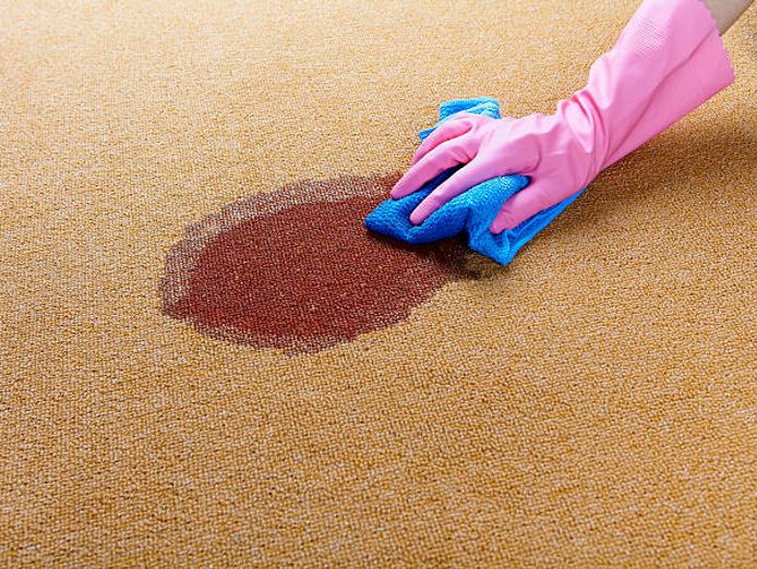carpet-cleaning-commercial-and-domestic-4