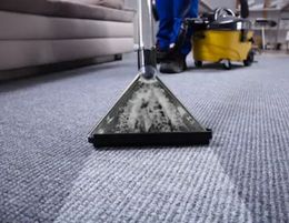 Jim's Carpet Cleaning Business Franchise | #1 BEST Franchise Award Winner