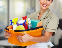 Exclusive Cleaning Business for Sale – A Golden Opportunity!