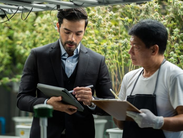 licensed-medicinal-cannabis-operation-turnkey-investment-opportunity-0