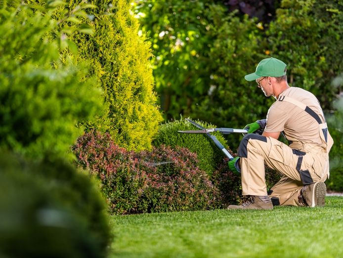 high-margin-garden-maintenance-business-long-term-clients-255k-net-profit-0