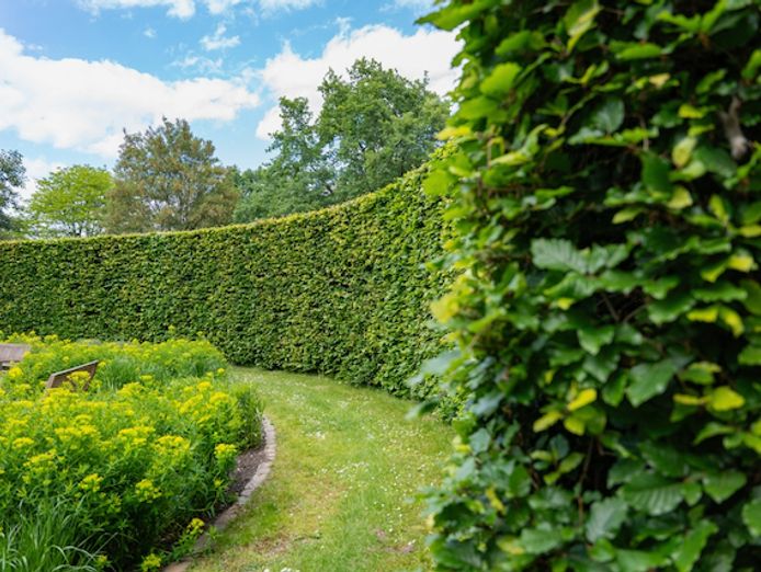 bayside-territory-mobile-hedge-garden-service-business-high-margins-0