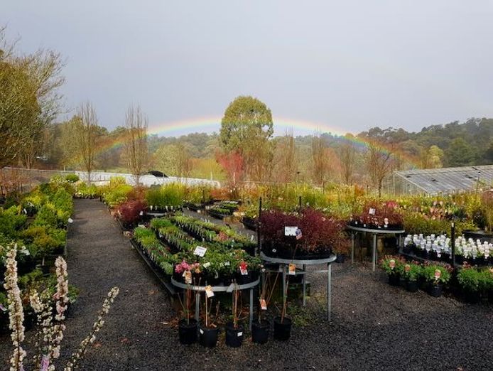 established-retail-nursery-emerald-tree-change-opportunity-0