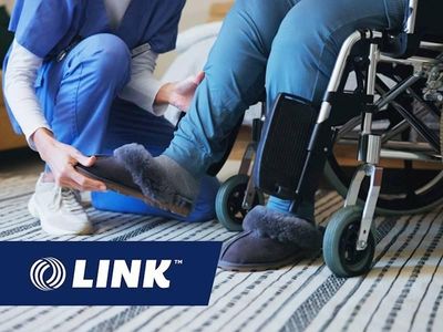 high-performing-ndis-business-fy26-332k-sde-hands-off-owner-0