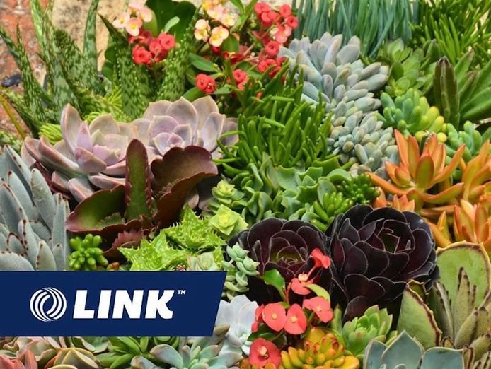 top-qld-wholesale-succulent-nursery-incl-freehold-1