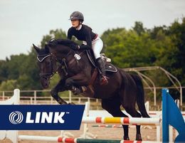 Horse Supplement and Accessories Online Business