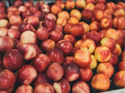 profitable-fruit-amp-veg-shop-in-a-hot-location-2