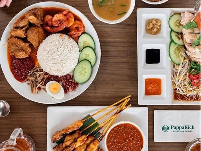 papparich-franchise-for-sale-50-000-sales-pw-1