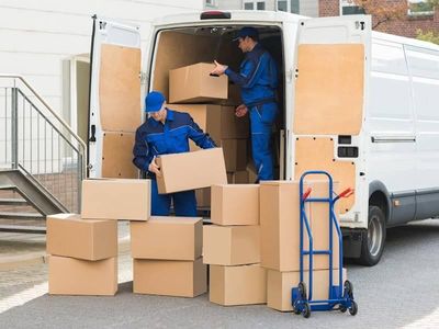 transport-amp-courier-business-in-coastal-nsw-2