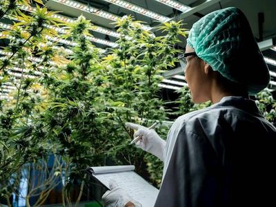 end-to-end-solution-for-the-medicinal-cannabis-industry-3