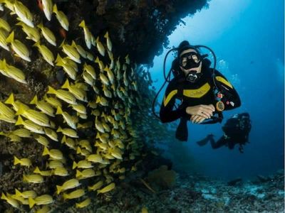 premium-dive-tourism-business-for-sale-2