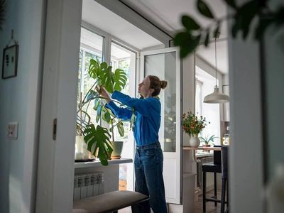 northern-beaches-building-amp-pest-inspections-business-1