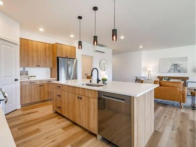 profitable-designer-lighting-e-commerce-brand-1