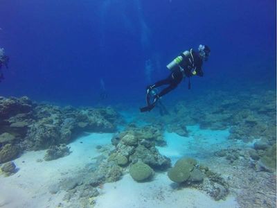 premium-dive-tourism-business-for-sale-3