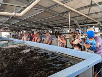 sustainable-aquaculture-amp-food-hub-port-stephens-2