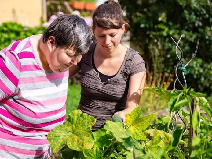 ndis-business-with-approx-253-000-000-in-plan-funding-2