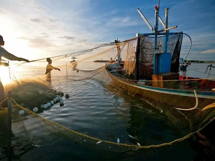 profitable-commercial-fishing-business-for-sale-nsw-coastal-1