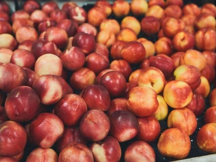 profitable-fruit-amp-veg-shop-in-a-hot-location-2