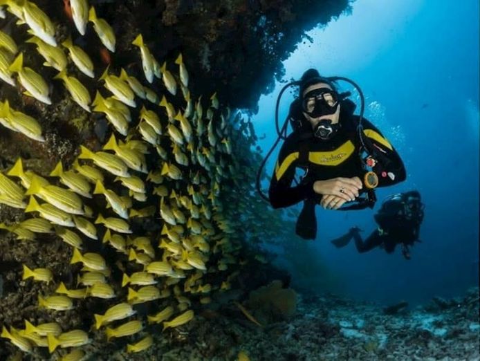premium-dive-tourism-business-for-sale-2