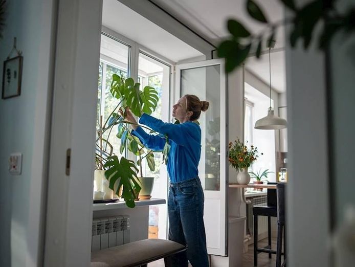 northern-beaches-building-amp-pest-inspections-business-1
