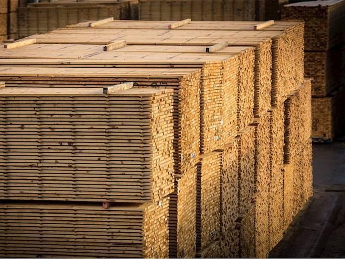 timber-pallets-and-crates-vertical-business-2