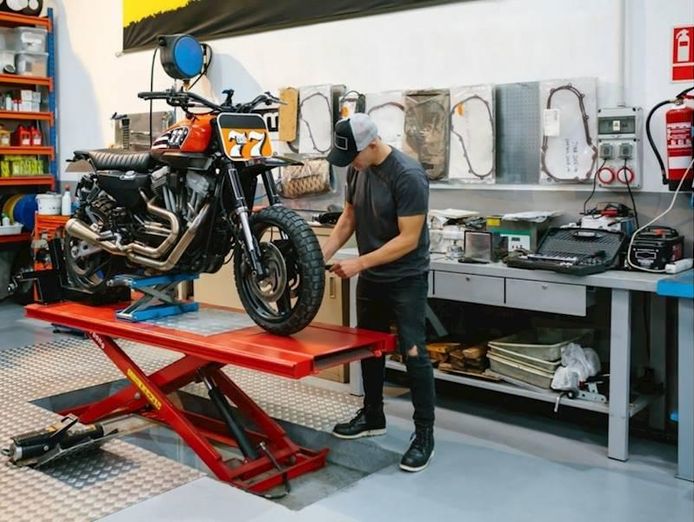 established-motor-mechanic-sydney-inner-west-3