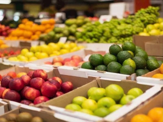 profitable-fruit-amp-veg-shop-in-a-hot-location-3