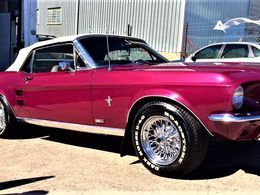 Jims Car Detailing Chatswood! CANT KEEP UP WITH THE DEMAND! Mobile Car Wash!