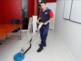 Jim's Carpet Cleaning Adelaide - Franchises Needed