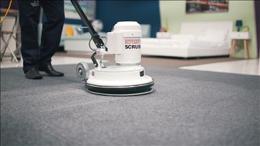 Jim's Carpet Cleaning Melbourne | Franchises Needed | Call Now 131546