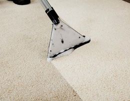 Jim's Carpet Cleaning St Albans / Existing Business w Income Guarantee / 131 546