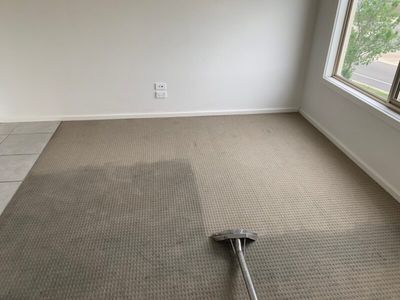 jims-carpet-cleaning-fremantle-franchisees-needed-australias-1-brand-5
