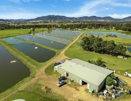 Freehold Going Concern Fish Farm Business in Mid Coast of NSW