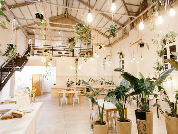 japanese-style-caf-233-in-sydney-northshore-business-for-sale-380k-under-offer-0