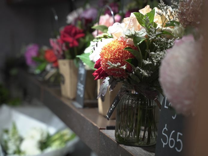 floristbusinessforsalelowernorthshore0