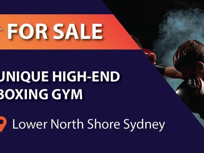 unique-high-end-boxing-gym-lower-north-shore-sydney-bfb0619-1