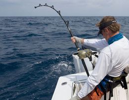 Bait & Tackle Business Gold Coast for Sale 