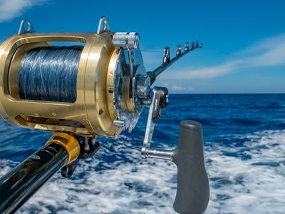 iconic-business-under-management-nett-profit-125kpa-2