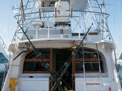 bait-tackle-business-gold-coast-for-sale-4