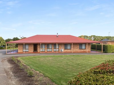 high-potential-pet-boarding-grooming-business-for-saleprime-mount-gambier-sa-6