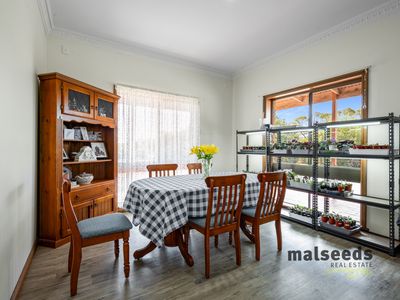 high-potential-pet-boarding-grooming-business-for-saleprime-mount-gambier-sa-4