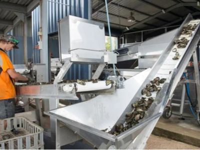 manufacturing-business-for-sale-stainless-steel-equipment-fabrication-tas-0