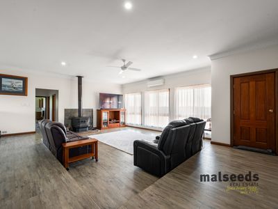 high-potential-pet-boarding-grooming-business-for-saleprime-mount-gambier-sa-5