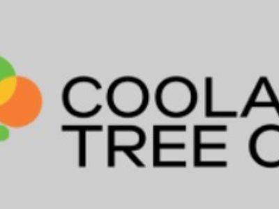coolabah-tree-cafe-franchise-for-sale-bundaberg-4