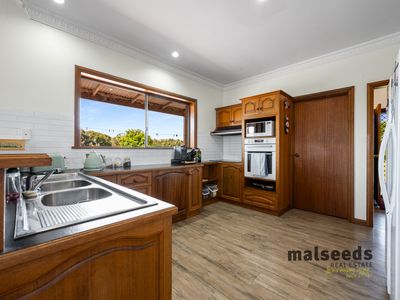 high-potential-pet-boarding-grooming-business-for-saleprime-mount-gambier-sa-0
