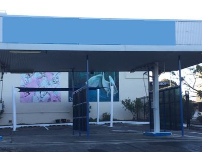 rewarding-car-wash-auto-detailing-business-for-sale-2