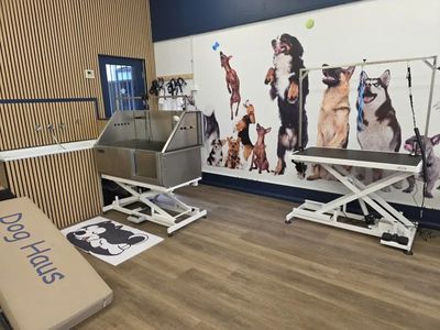dog-day-care-grooming-business-for-sale-stanmore-nsw-0