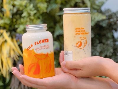 new-milk-flower-franchise-for-sale-healthy-fruit-yoghurt-based-drink-business-4