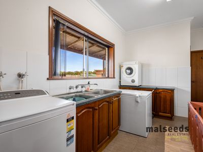 high-potential-pet-boarding-grooming-business-for-saleprime-mount-gambier-sa-3